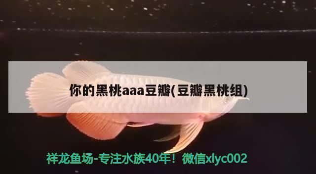 你的黑桃aaa豆瓣(豆瓣黑桃組)