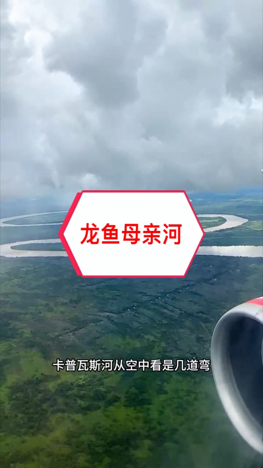 紅龍魚的“母親河” ~卡普瓦斯 落地印尼前從空中看下去有點我們的“山路十八彎”的感覺~ 讓我們一起開啟紅龍魚原產地的探索之旅??#萬隆天王紅龍 #大湖魚 #龍魚 紅龍魚的“母親河” ~卡普瓦斯 落地印尼前從空中看下去有點我們的“山路十八彎”的感覺~ 讓我們一起開啟紅龍魚原產地的探索之旅??#萬隆天王紅龍 #大湖魚 #龍魚