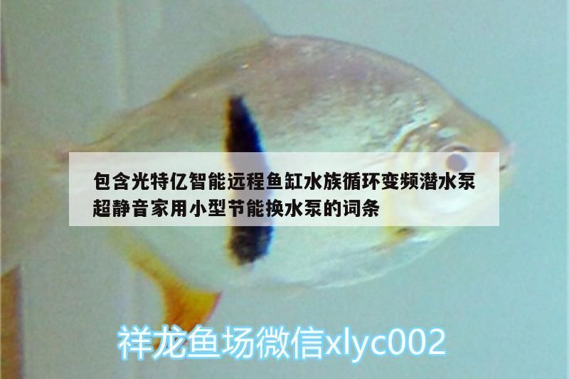 包含光特億智能遠程魚缸水族循環變頻潛水泵超靜音家用小型節能換水泵的詞條