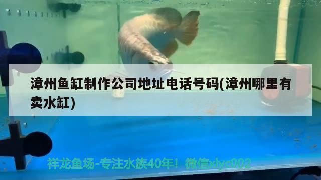 漳州魚缸制作公司地址電話號(hào)碼(漳州哪里有賣水缸)