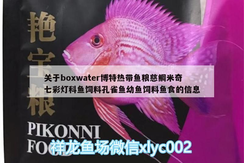 關于boxwater博特熱帶魚糧慈鯛米奇七彩燈科魚飼料孔雀魚幼魚飼料魚食的信息