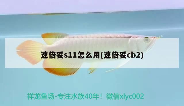 速倍妥s11怎么用(速倍妥cb2)
