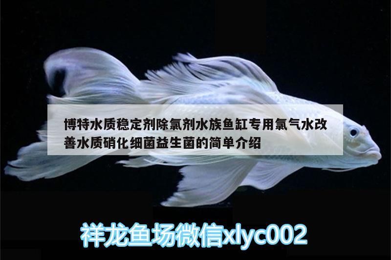 博特水質穩定劑除氯劑水族魚缸專用氯氣水改善水質硝化細菌益生菌的簡單介紹