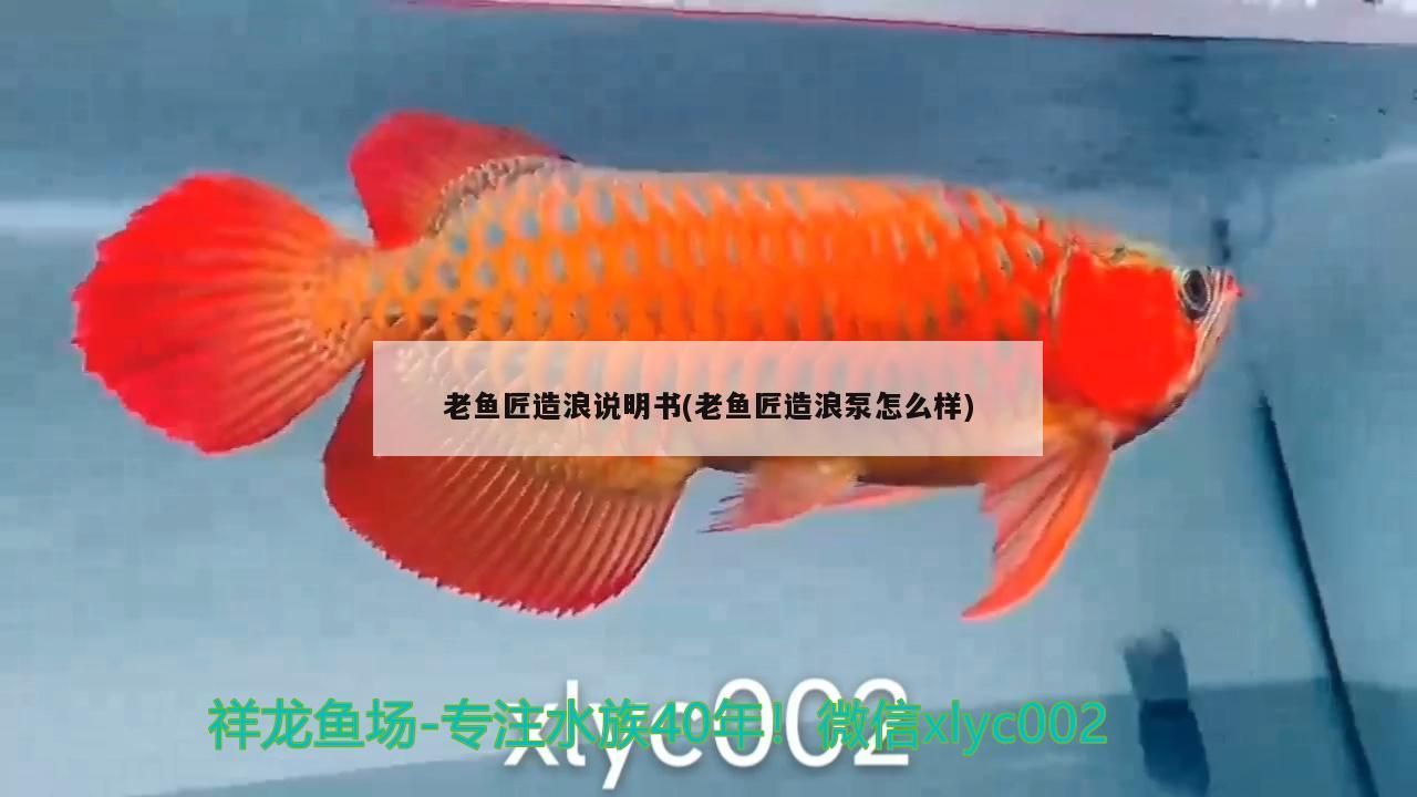 老魚匠造浪說明書(老魚匠造浪泵怎么樣)