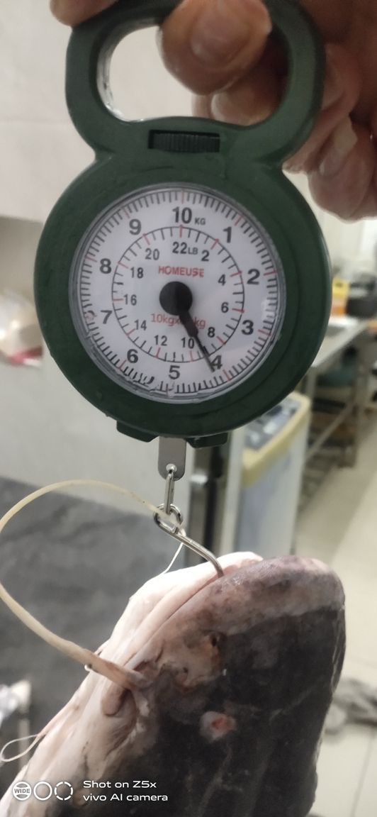 冬日離別·念魚