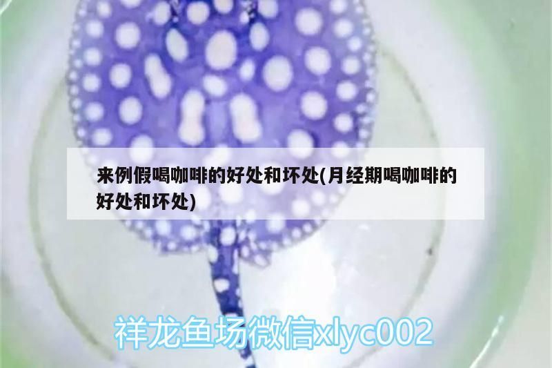來(lái)例假喝咖啡的好處和壞處(月經(jīng)期喝咖啡的好處和壞處)