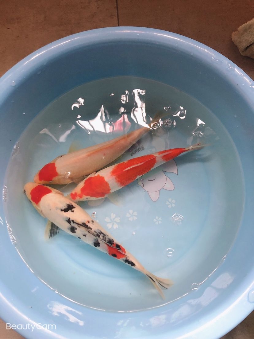 廣州市荔灣區(qū)筷又美小食店