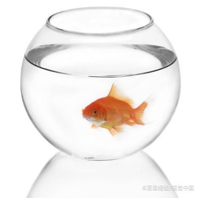 魚缸水都是泡沫怎么回事，如何減少魚缸泡沫