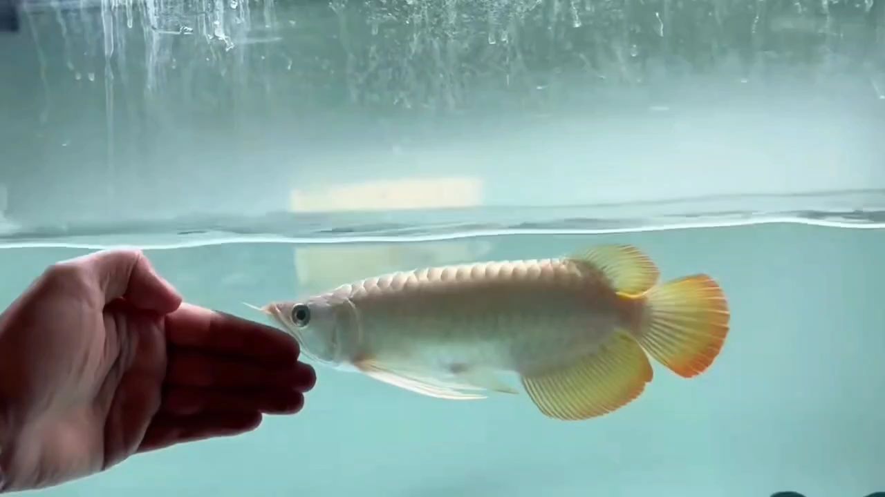 潛力股
