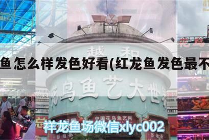 魟魚一年能繁殖幾窩 龍魚論壇 第2張 魟魚一年能繁殖幾窩 魟魚一年能繁殖幾窩 龍魚論壇 第2張