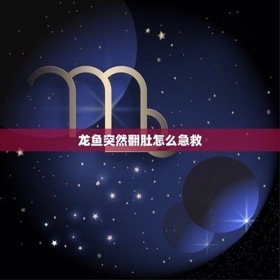 龍魚翻了怎么搶救vs祥龍魚場：龍魚翻缸需要正確的方法來處理，飼養者需要正確的方法來處理