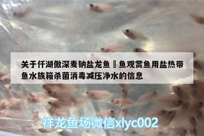 關于仟湖傲深麥鈉鹽龍魚魟魚觀賞魚用鹽熱帶魚水族箱殺菌消毒減壓凈水的信息