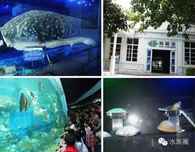 水族館投資多少錢啊（水族館加盟品牌有哪些）