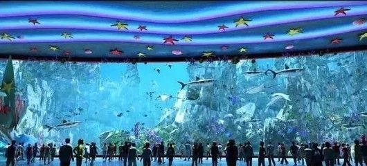 水族館門面圖片真實（水族館門面圖片的制作過程）