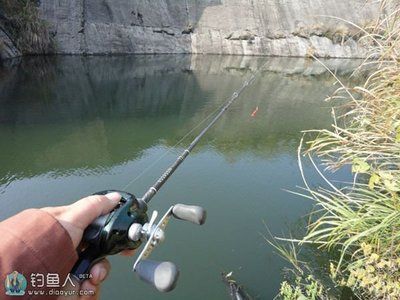 魟魚溫度多少最好釣：魟魚溫度多少最好釣魟魚溫度多少最好釣魟魚溫度多少