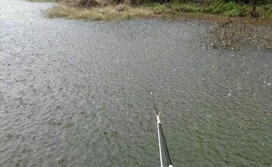 魟魚溫度多少最好釣：魟魚溫度多少最好釣魟魚溫度多少最好釣魟魚溫度多少