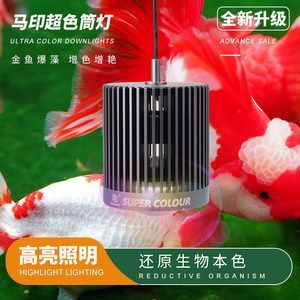 馬印燈和吉印燈：馬印燈和吉印燈各有優缺點
