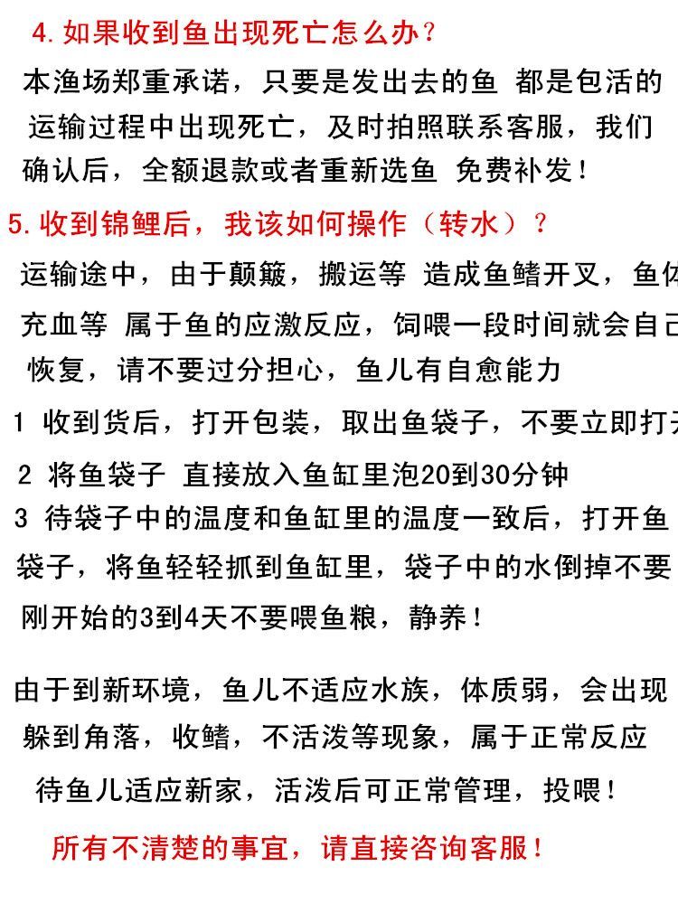 這個黃金貓多少大洋可以買一條啊？