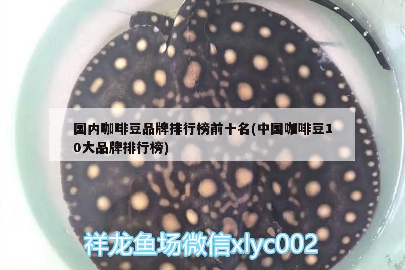 國內咖啡豆品牌排行榜前十名(中國咖啡豆10大品牌排行榜)