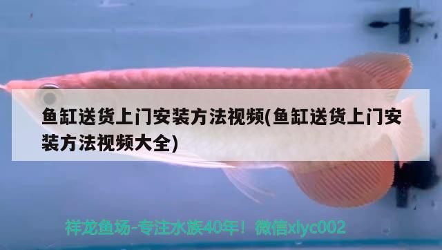yee意牌水族用品怎么樣（意牌魚缸官網(wǎng)）