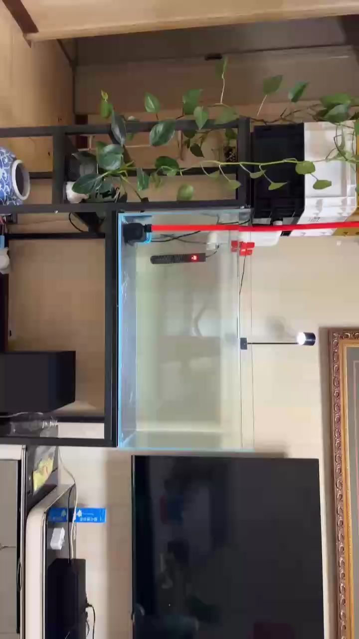 開缸，開缸 開缸，開缸 龍魚論壇