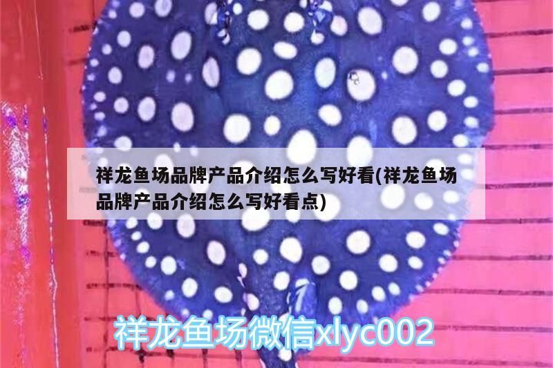 祥龍魚場品牌產品介紹怎么寫好看(祥龍魚場品牌產品介紹怎么寫好看點)