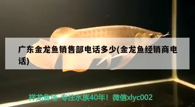 花都魚缸批發(fā)市場在哪里花都魚缸批發(fā)市場在哪里，廣州花都魚缸批發(fā)市場在哪里花都魚缸批發(fā)市場在哪里