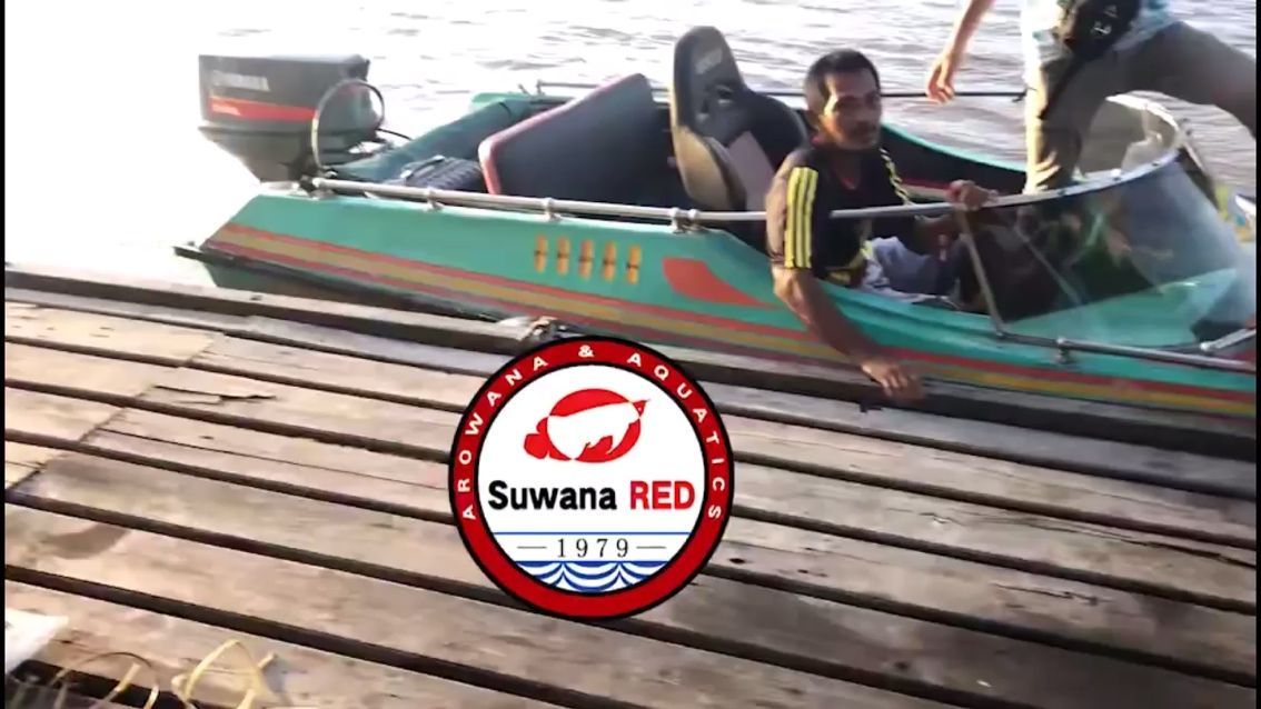 德州水族魚缸批發市場地址（德州賣魚缸市場）