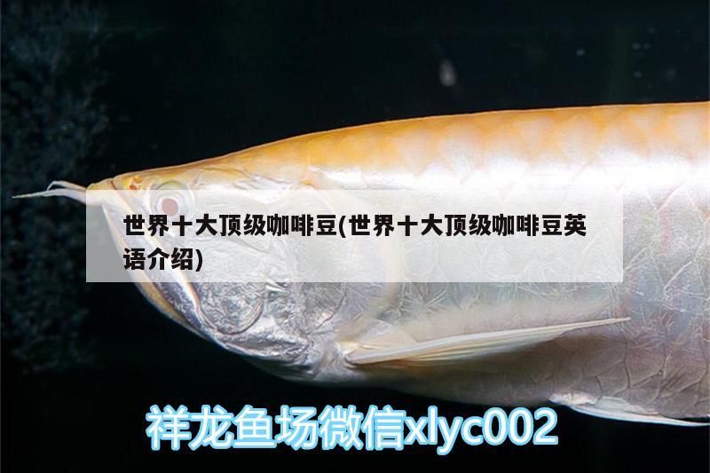 世界十大頂級(jí)咖啡豆(世界十大頂級(jí)咖啡豆英語介紹)