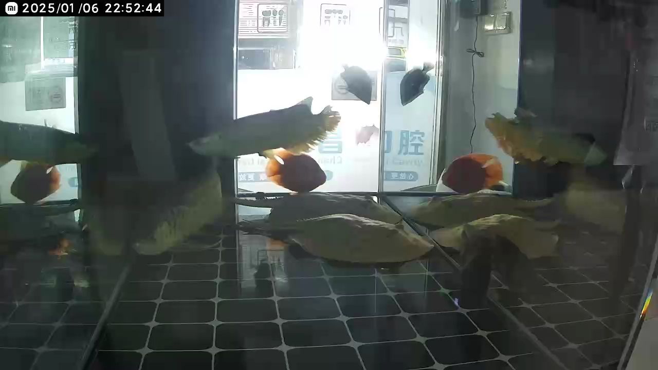 這算什么