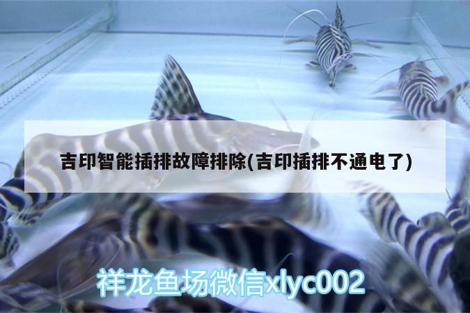 吉印智能插排故障排除(吉印插排不通電了) 吉印智能插排故障排除(吉印插排不通電了) 吉印水族