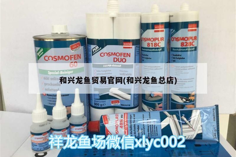 和興龍魚貿易官網(和興龍魚總店)
