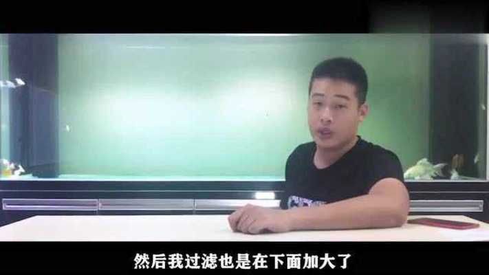 普直蝴蝶鯉是什么品種（普身（或普直）蝴蝶鯉是蝴蝶鯉的常見(jiàn)基礎(chǔ)體型品種）