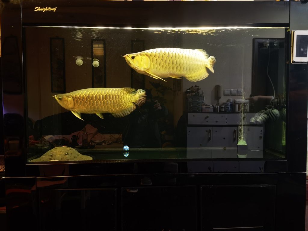 記錄一下2025年1月