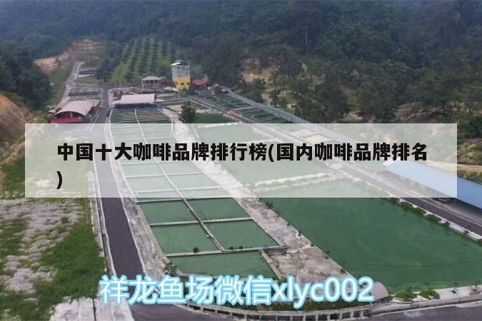 中國十大咖啡品牌排行榜(國內(nèi)咖啡品牌排名)