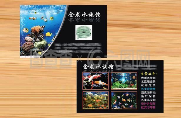 水族館主營業務有哪些類型：水族館會員福利