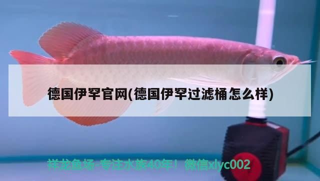 德國(guó)伊罕官網(wǎng)(德國(guó)伊罕過濾桶怎么樣)