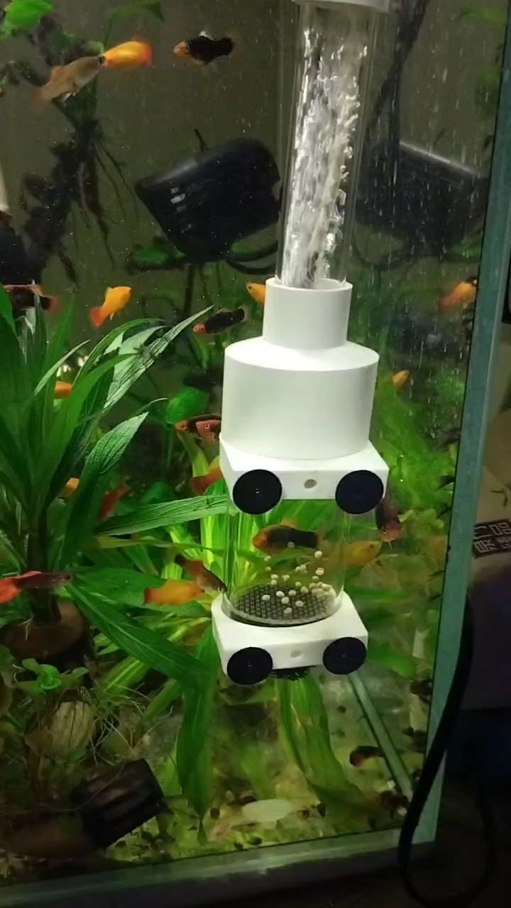 又生了一窩