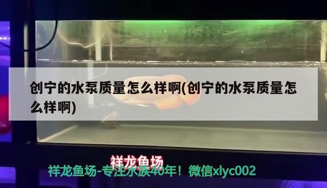 創寧的水泵質量怎么樣啊(創寧的水泵質量怎么樣啊)