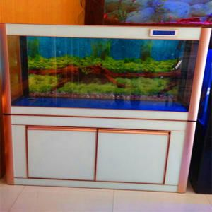 60公分陶瓷魚缸價格：60公分陶瓷魚缸的價格