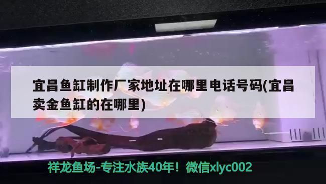 宜昌魚缸制作廠家地址在哪里電話號碼(宜昌賣金魚缸的在哪里)