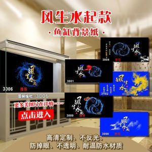 紅龍魚魚缸背景紙什么顏色好看：紅龍魚的發色潛力選擇