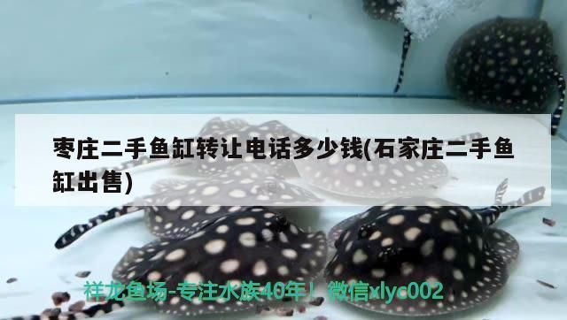 棗莊二手魚缸轉讓電話多少錢(石家莊二手魚缸出售) 棗莊二手魚缸轉讓電話多少錢(石家莊二手魚缸出售) 可麗愛魚缸
