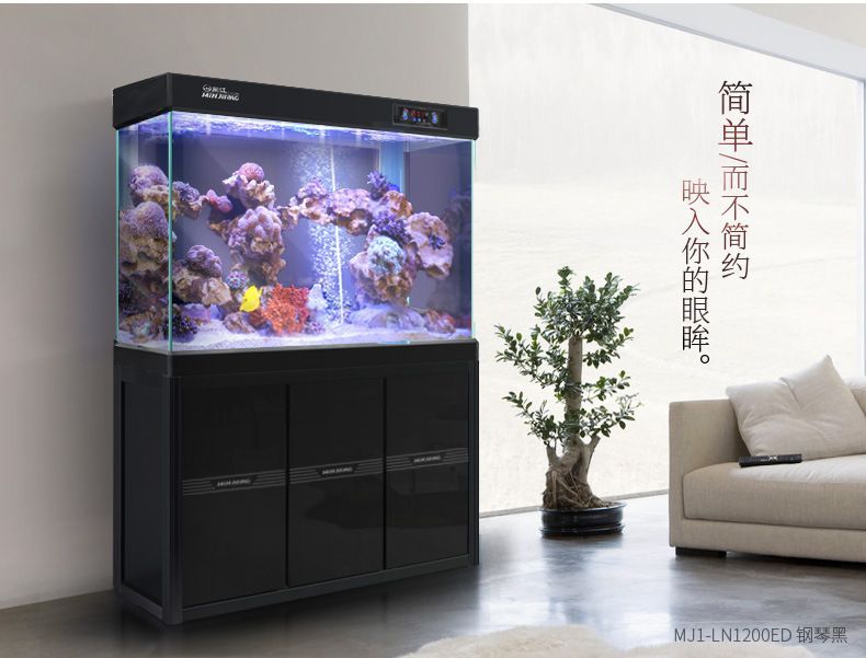 龍魚缸換水注意什么問題，龍魚換水后如何穩定水質，龍魚缸硝化細菌添加技巧