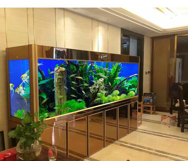 龍魚缸換水注意什么問題，龍魚換水后如何穩定水質，龍魚缸硝化細菌添加技巧