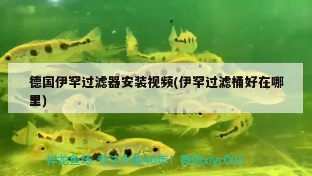 德國伊罕過濾器安裝視頻(伊罕過濾桶好在哪里)