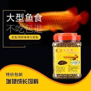 龍魚不吃活魚食怎么辦 龍魚不吃活魚食怎么辦 龍魚百科 第1張