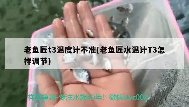 老魚匠t3溫度計不準(老魚匠水溫計T3怎樣調節) 老魚匠t3溫度計不準(老魚匠水溫計T3怎樣調節) 老魚匠