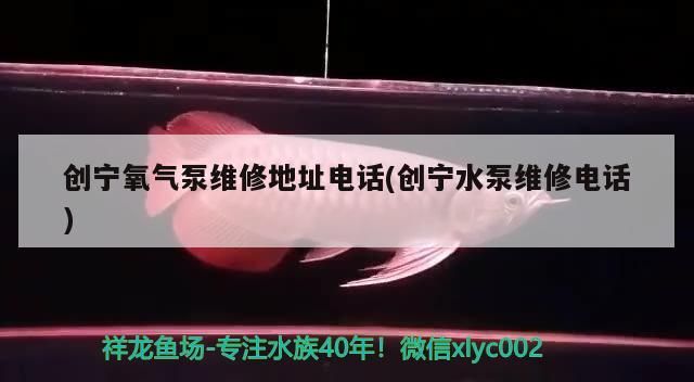 創寧氧氣泵維修地址電話(創寧水泵維修電話)