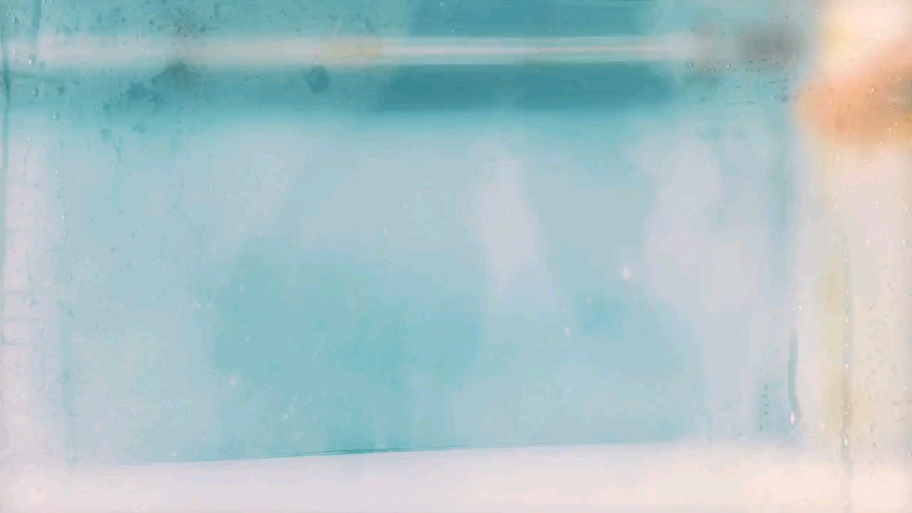 看魚